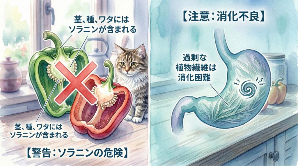 猫に対するピーマンのリスクとは
